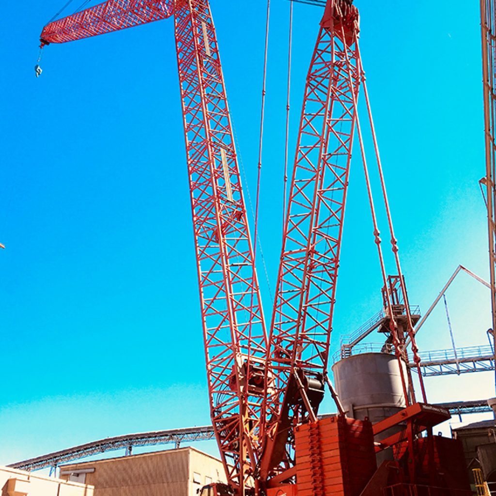 crane